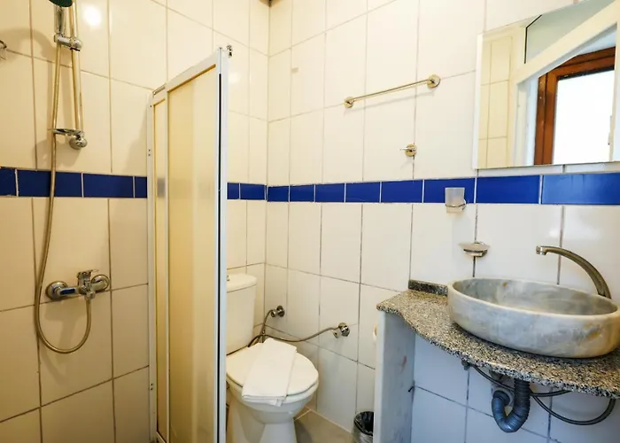 شقة فندقية The Dalyan's